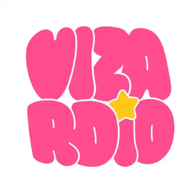 Vizardio Logo