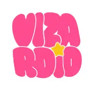 Vizardio logo